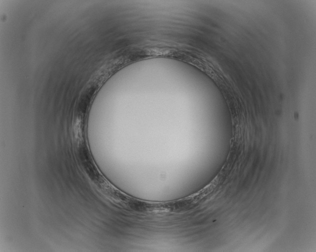 X0000062620598200512210914