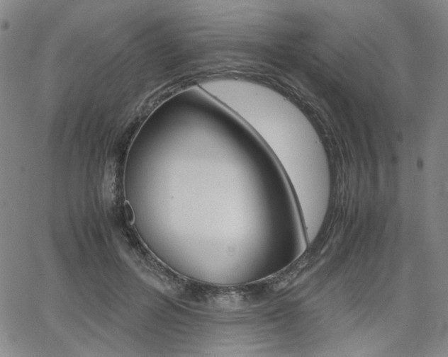X0000062620600200512210914