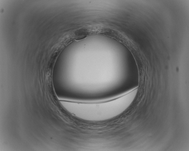 X0000062620601200512210914