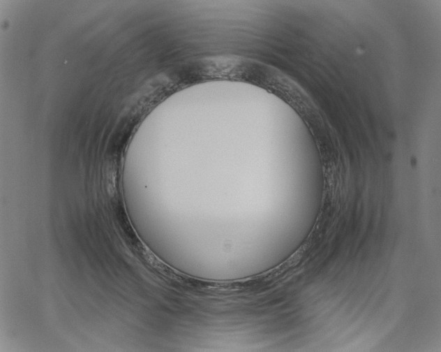 X0000062620602200512210914