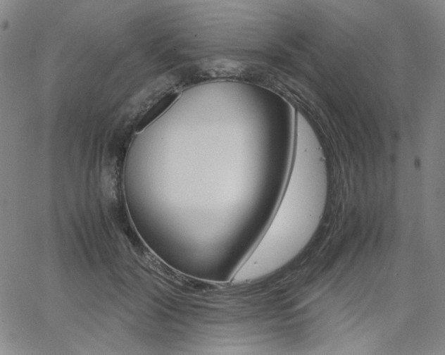 X0000062620604200512210914