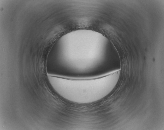X0000062620608200512210914