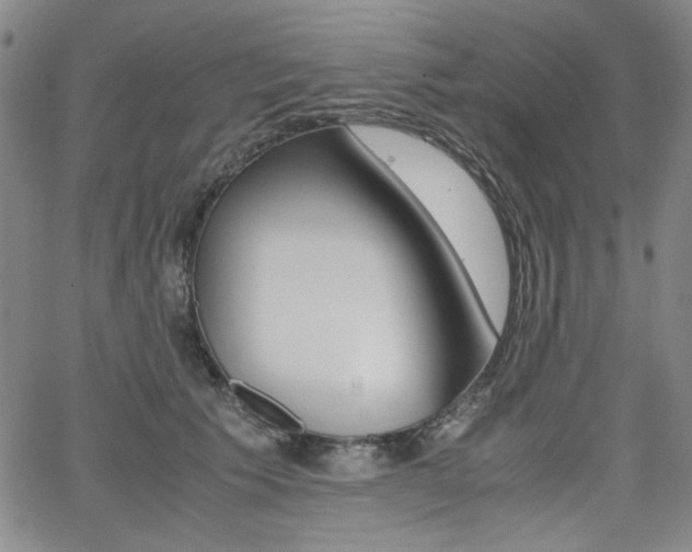 X0000062620609200512210914