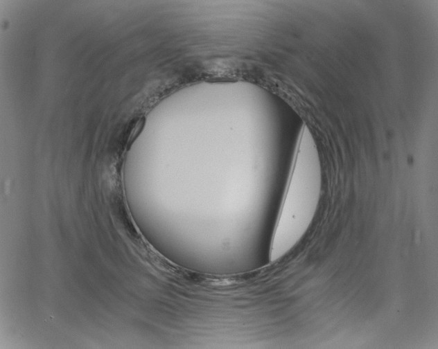X0000062620611200512210914