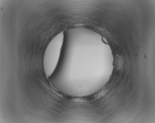 X0000062620614200512210914