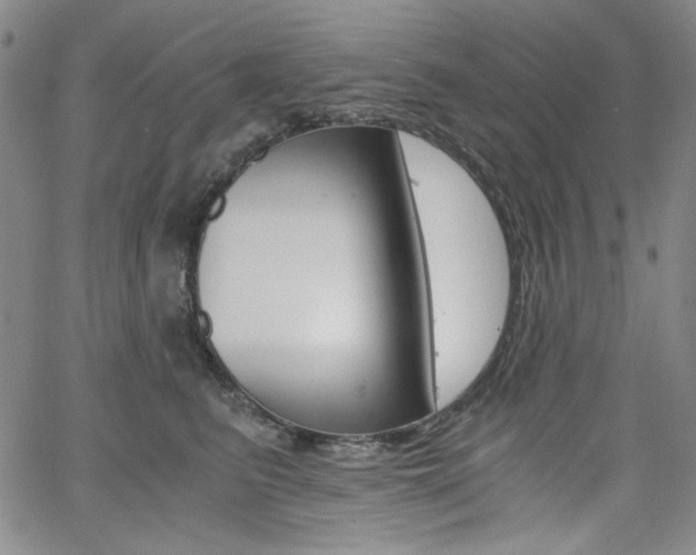 X0000062620615200512210914
