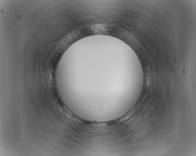 X0000062620618200512210914