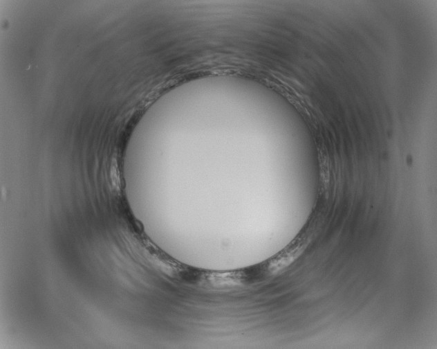 X0000062620622200512210914