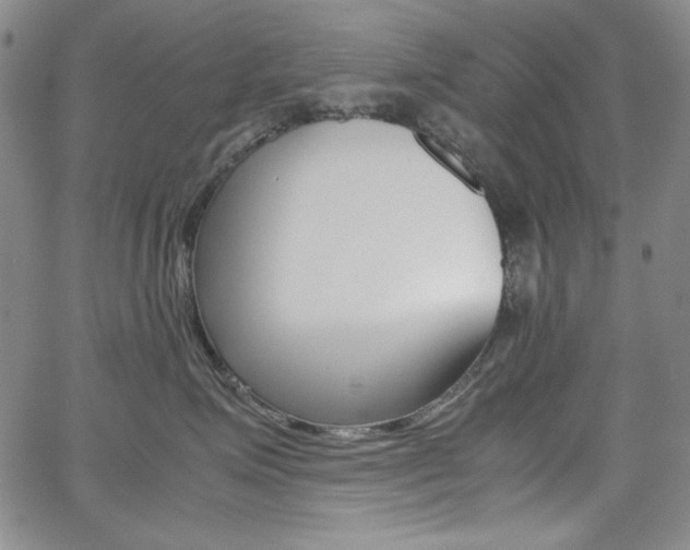 X0000062620623200512210914