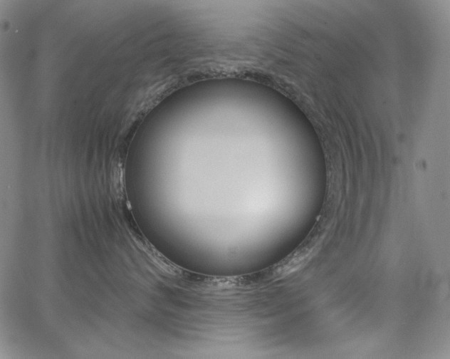 X0000062620624200512210914