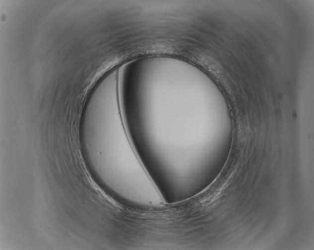 X0000062620625200512210913
