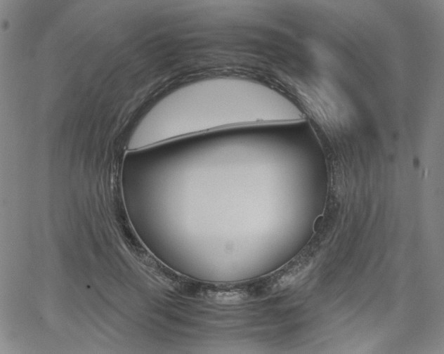 X0000062620645200512210913