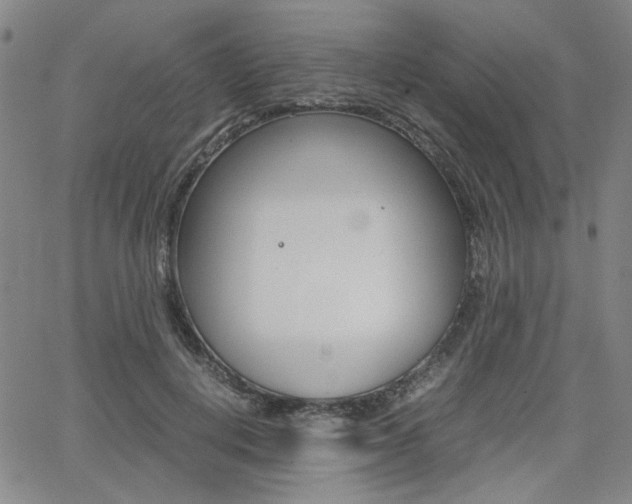 X0000062620648200512210913