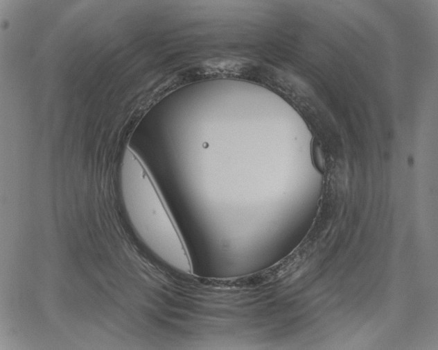 X0000062620649200512210913