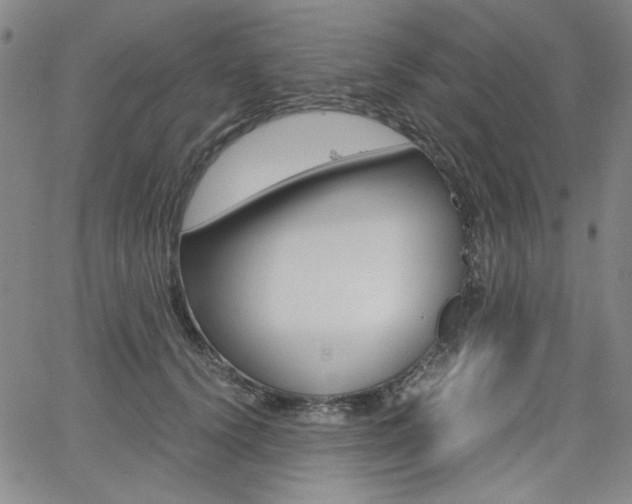 X0000062620656200512210913