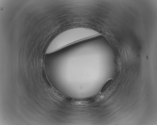 X0000062620657200512210913