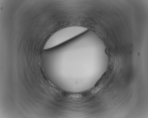 X0000062620659200512210913