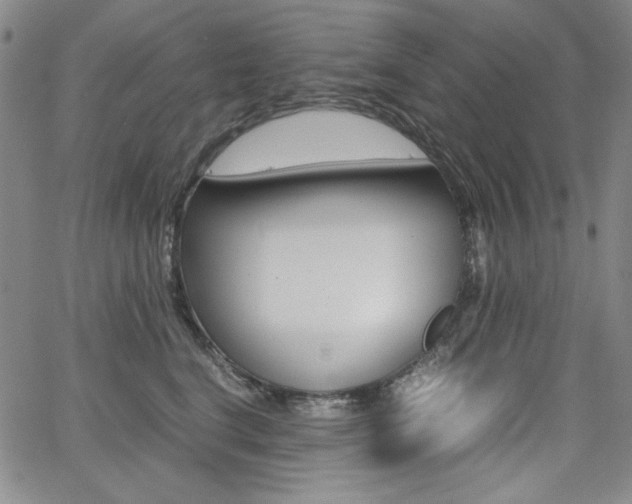 X0000062620664200512210913