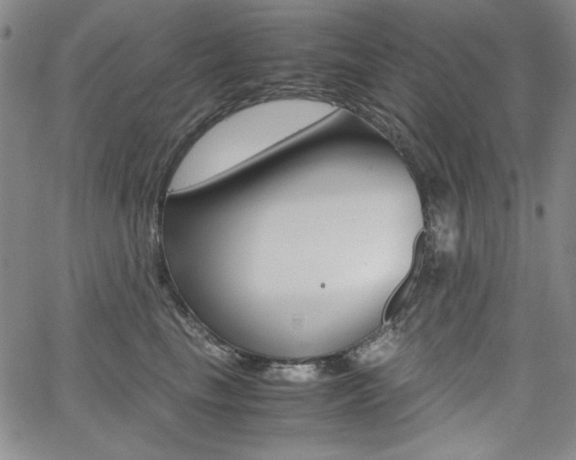 X0000062620665200512210913