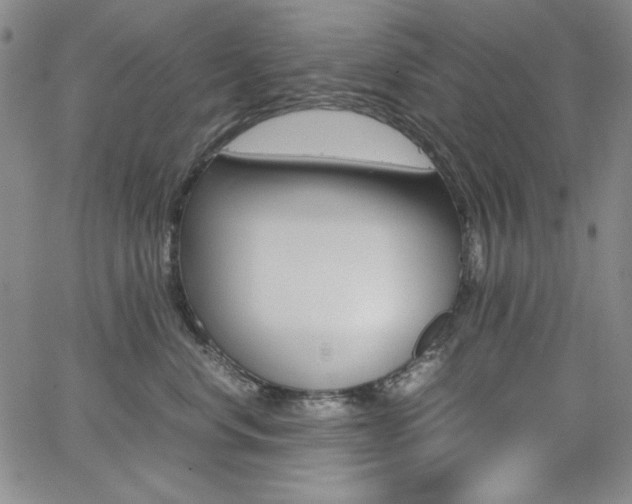 X0000062620668200512210914