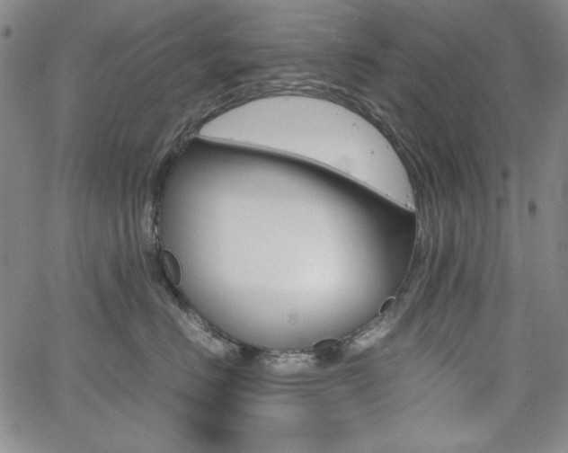 X0000062620670200512210914