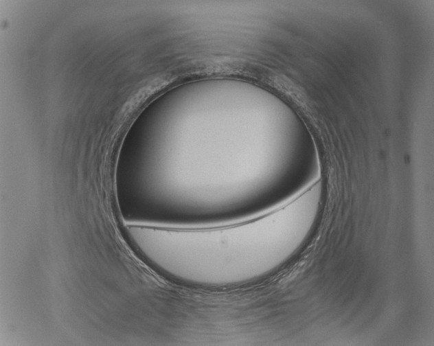 X0000062620673200512210913