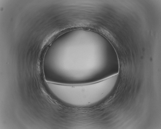 X0000062620676200512210913