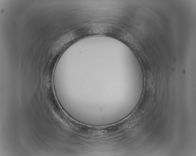 X0000062620683200512210913