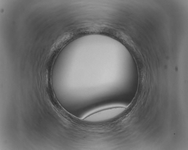 X0000062620685200512210913