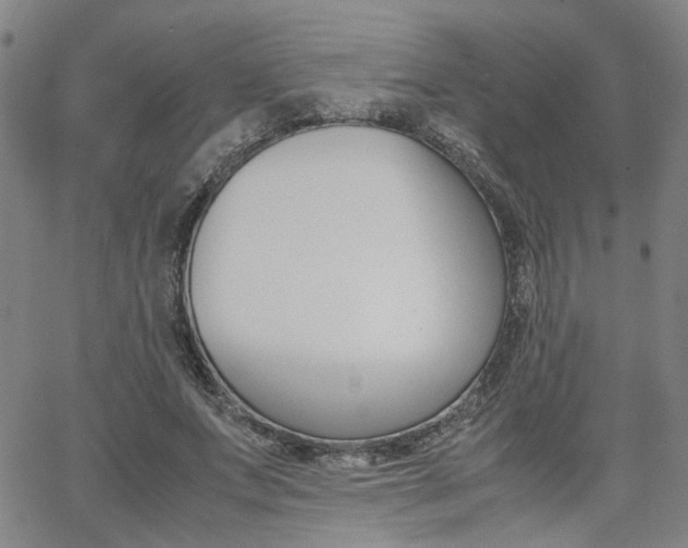 X0000062620687200512210913