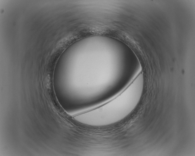 X0000062620689200512210912
