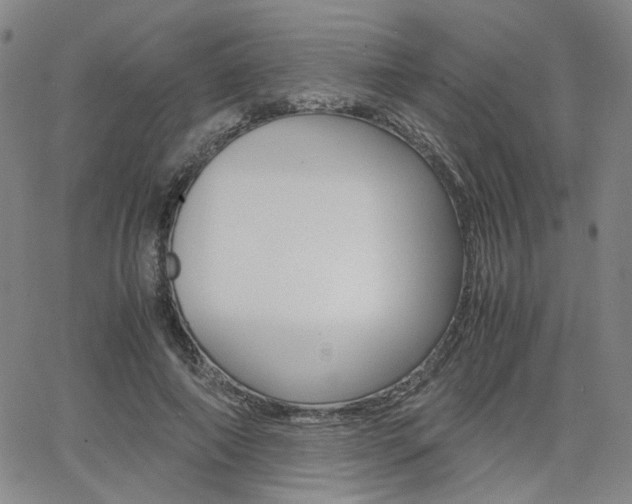 X0000062620690200512210912