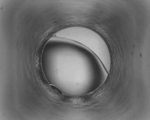 X0000062620693200512210912