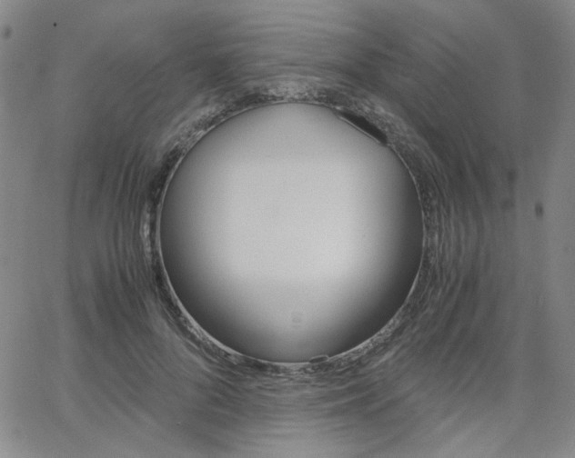 X0000062620696200512210912