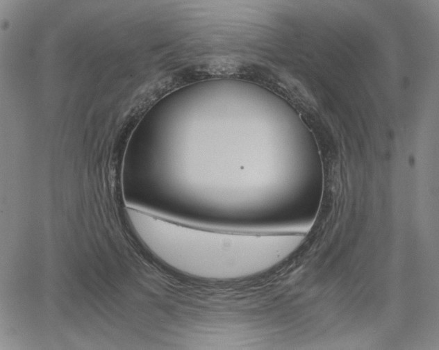 X0000062620697200512210912