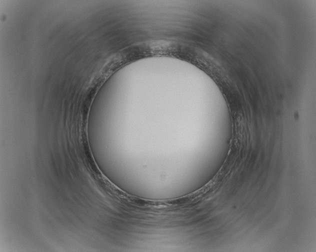 X0000062620698200512210912