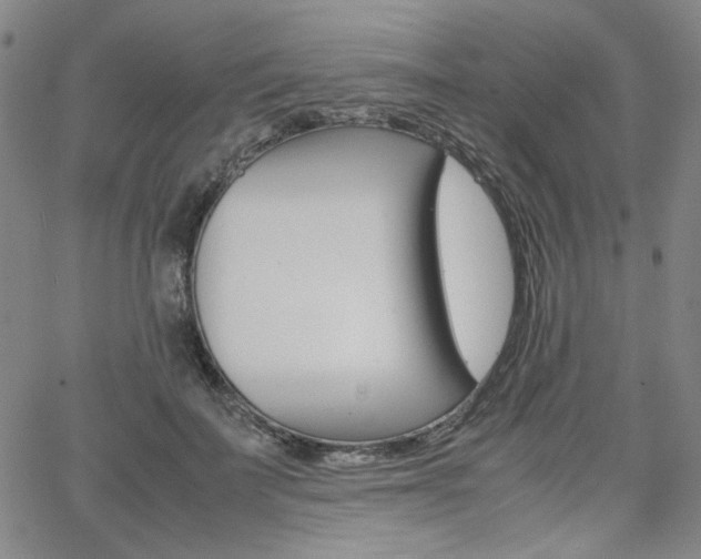 X0000062620699200512210912