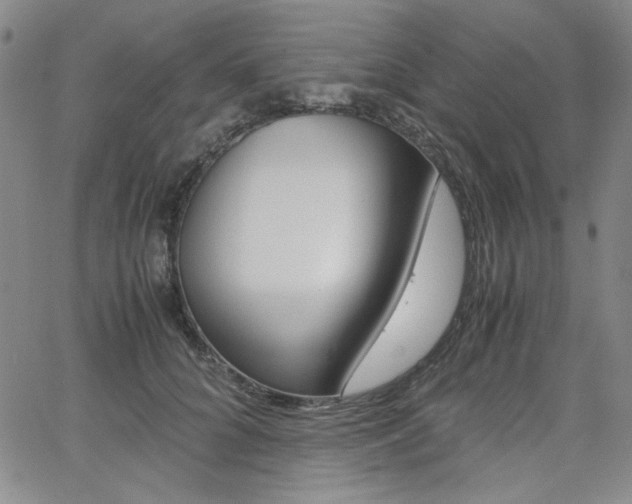 X0000062620704200512210912