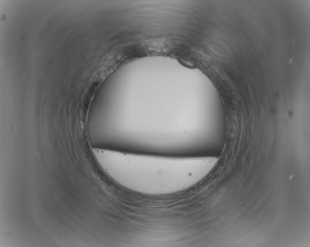 X0000062620707200512210912