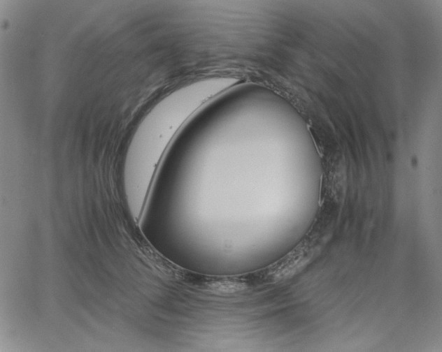 X0000062620708200512210912