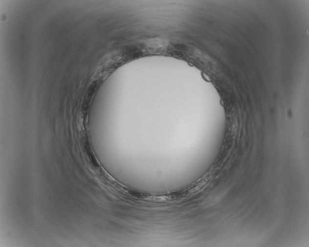 X0000062620711200512210912