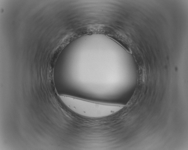 X0000062620712200512210912