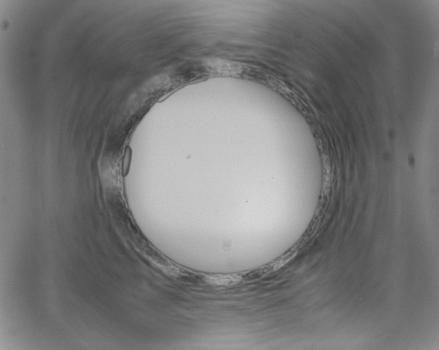 X0000062620713200512210912