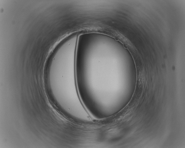 X0000062620722200512210911