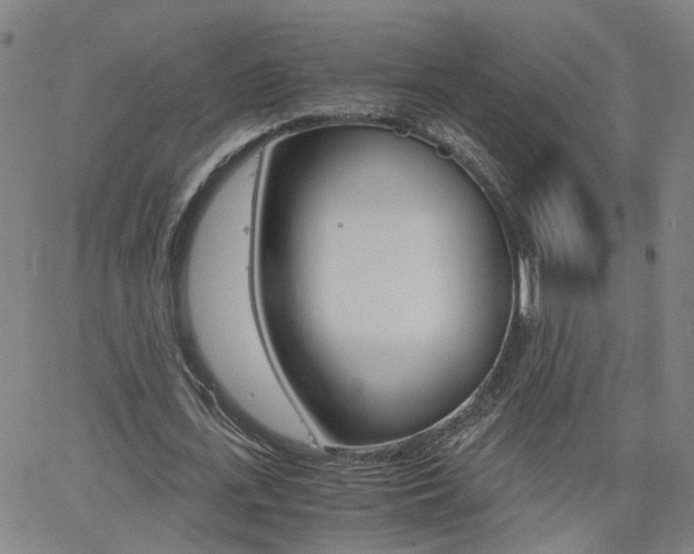 X0000062620723200512210911