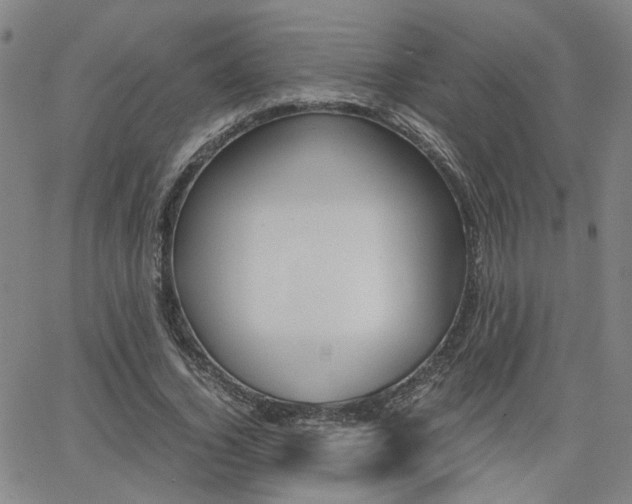 X0000062620732200512210911