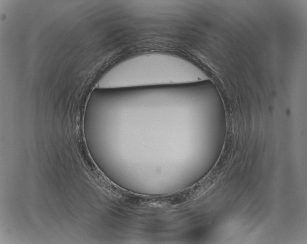 X0000062620737200512210911