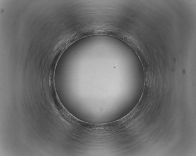 X0000062620740200512210911