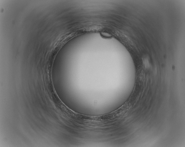 X0000062620743200512210912