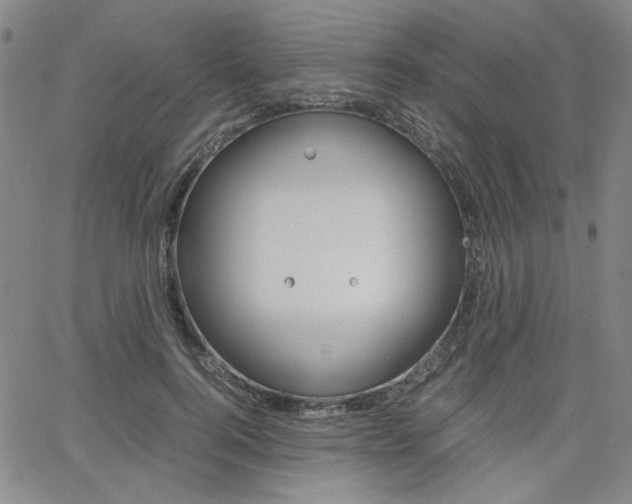 X0000062620744200512210912